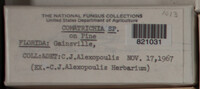 Image Associated With the Occurence